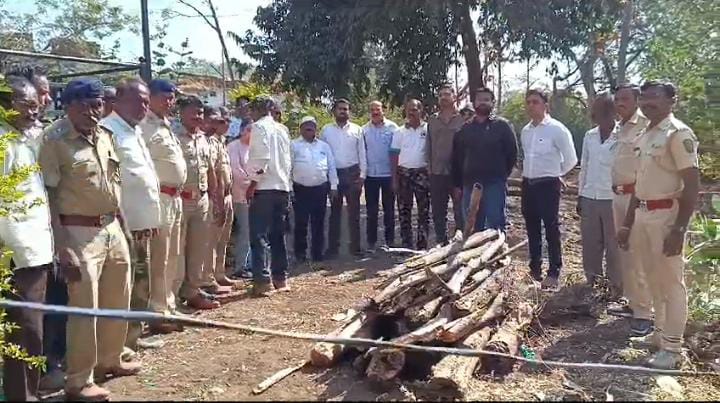 समुद्रपुर-गिरड मार्ग पर वाहन की टक्कर से चार माह की बाघिन की मौत