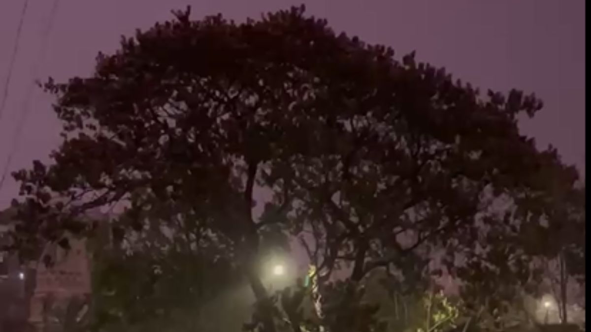 विदर्भ में मौसम ने बदली करवट, ठंडी हवाओं और बारिश से गर्मी से राहत
