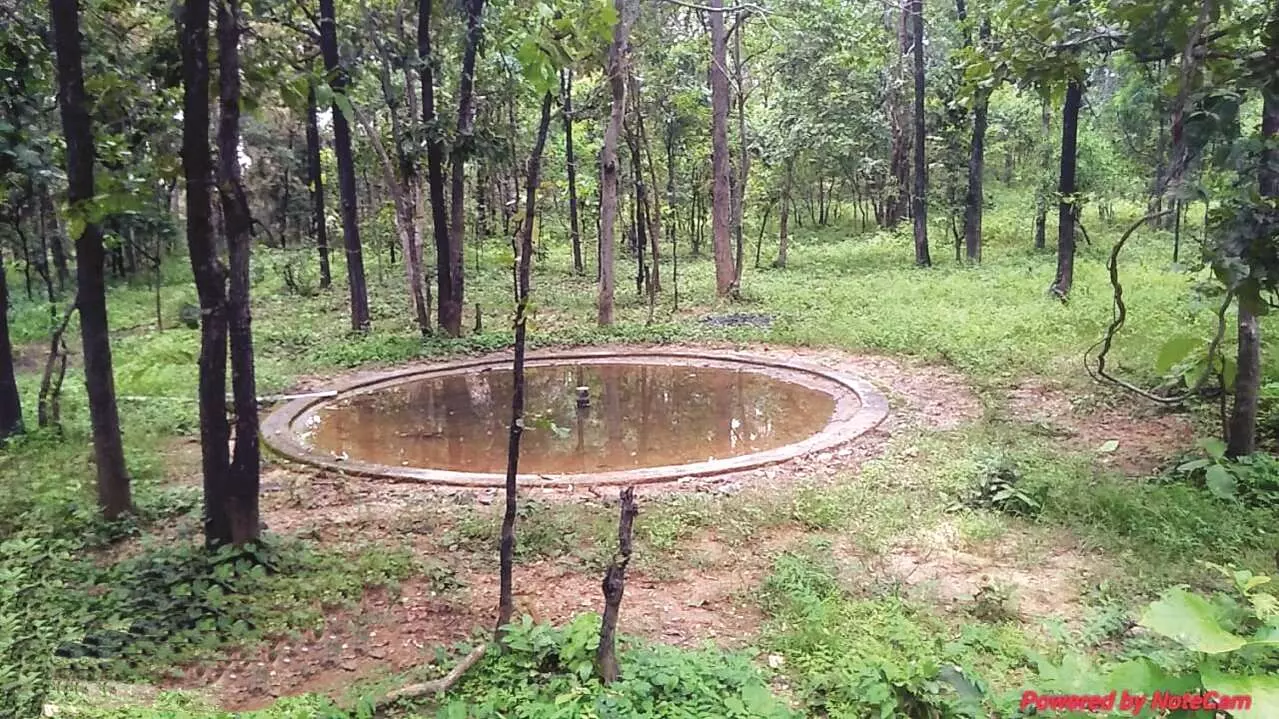 गर्मी में सूख रहे ताल, वन्यजीवों के लिए 350 कृत्रिम जलस्रोत तैयार