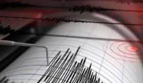 पाकिस्तान में भूकंप के झटके, रिक्टर स्केल पर 4.2 रही तीव्रता