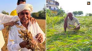 उमस और गर्मी से नागपुरवासी परेशान, बुवाई के इंतजार में बैठे किसानों में बढ़ी चिंता; 15 जून के बाद विदर्भ में झमाझम बारिश की संभावना
